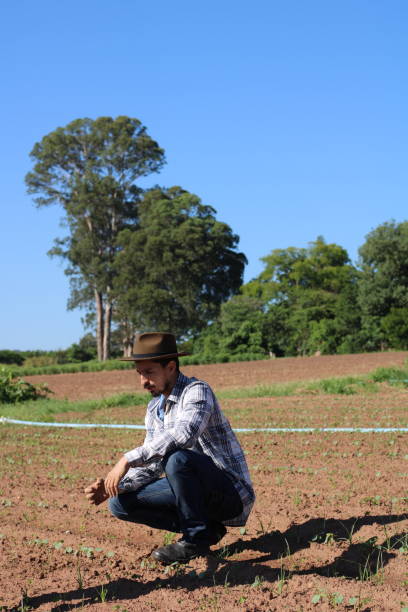 istock sustainability in the countryside 1355270229