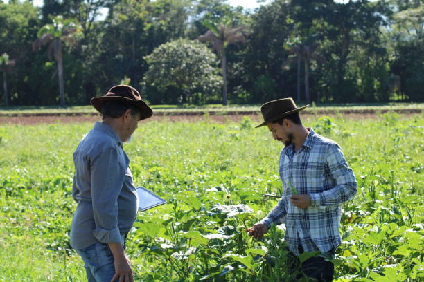 istock sustainability in the countryside 1355271094