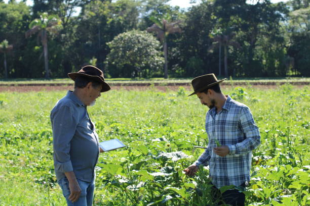 istock sustainability in the countryside 1355271132