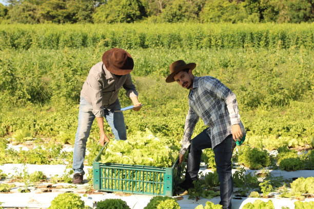 istock sustainability in the countryside 1355271138