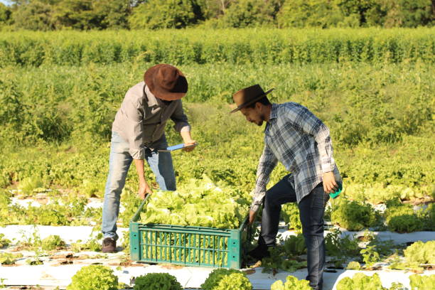 istock sustainability in the countryside 1355271148