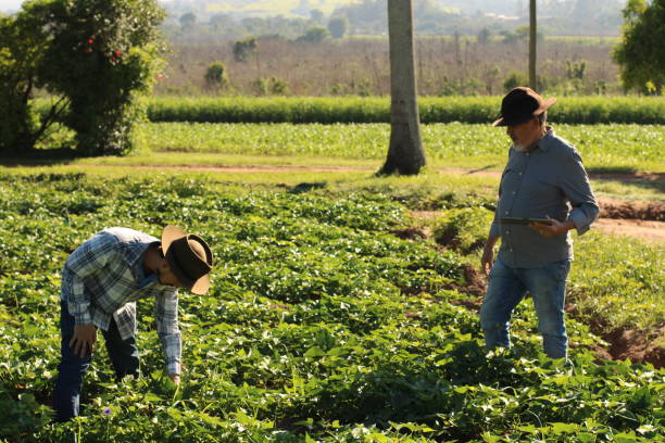 istock sustainability in the countryside 1355271236