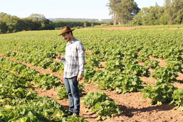 istock sustainability in the countryside 1355271252