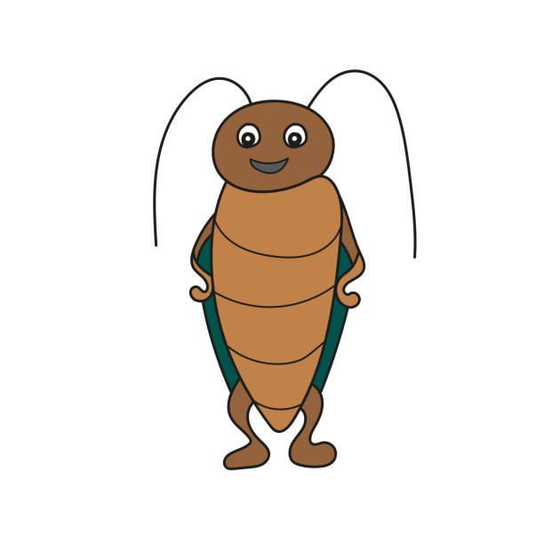 Cartoon Of Bed Bugs Illustrations, Royalty-Free Vector Graphics & Clip Art  - iStock