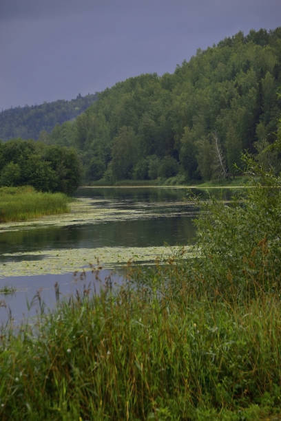 istock River oxbow during summer bad weather 1355271485