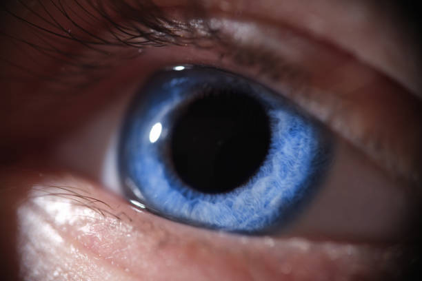 Closeup of beautiful bright blue human eye. Vision correction concept