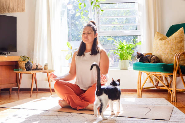 toma de cuerpo entero de una atractiva joven sentada en una colchoneta y meditando en casa - animal body fotografías e imágenes de stock