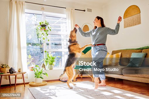 istock Full length shot of an attractive young woman dancing with her dog in the living room at home 1355274470