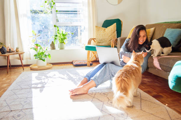 foto de cuerpo entero de una atractiva joven sentada en su sala de estar con sus gatos y usando su computadora portátil - female young women red hair full length fotografías e imágenes de stock