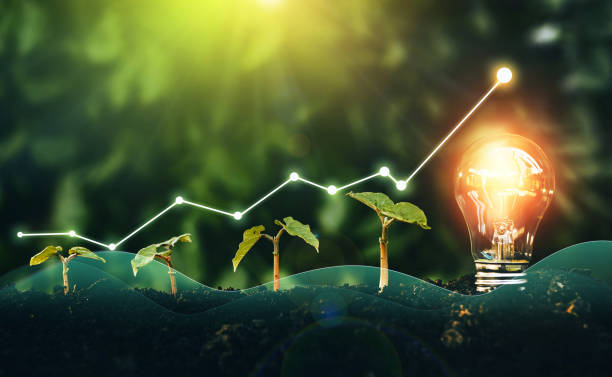 istock Renewable energy generation is essential in the future. Iluminated light bulb is located on soil and plant are growing. Successful sustainable business and pollution reduction.Green Eco energy 1355275504
