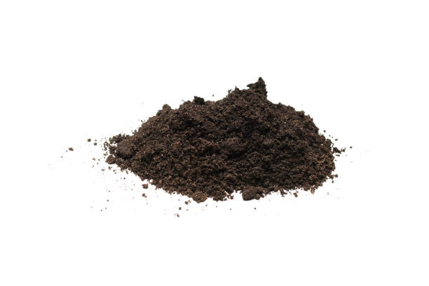 istock Black land for plant isolated on white background. 1355275621