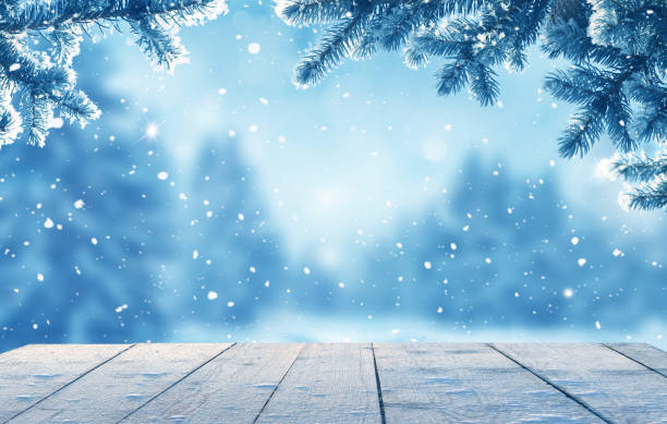 istock Holidays background.Winter landscape with fir tree branch. 1355284005