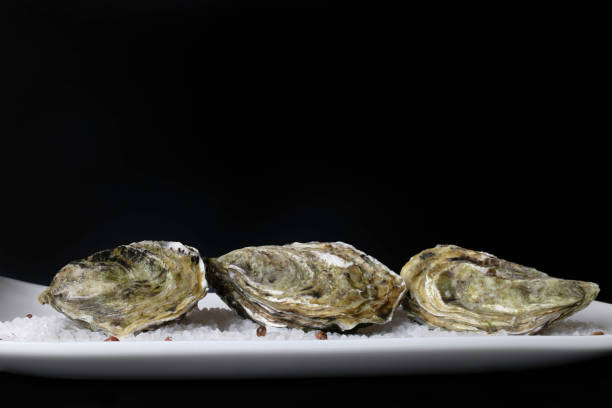 istock Oysters on plate. Fresh French oysters 1355285281