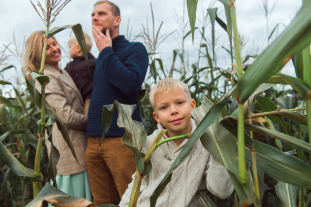 istock family walking in corn field at autumn 1355286873