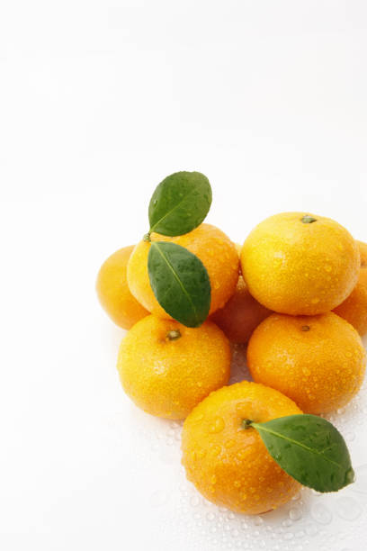 Fresh orange, tangerine, cheonhye hyang, red scent, leaf