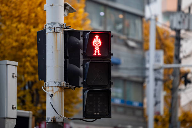 istock A traffic light with a red pedestrian traffic light on. 1355289045