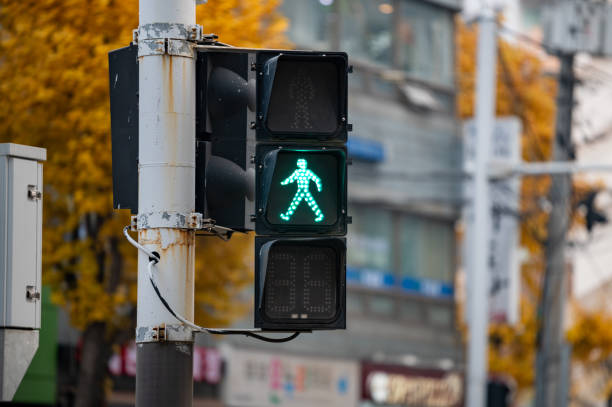 istock A traffic light with a blue pedestrian traffic light on. 1355289059