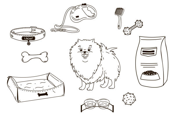 落書きペットショップのアイコンを設定します。犬、繁殖ポメラニアン。犬用アクセサリー。フラット ベクターの図。飼料、おもちゃ、ボール、首輪。白い背景漫画の輪郭線に分離されたベ - dog group of animals clothing animal点のイラスト素材／クリップアート素材／マンガ素材／アイコン素材