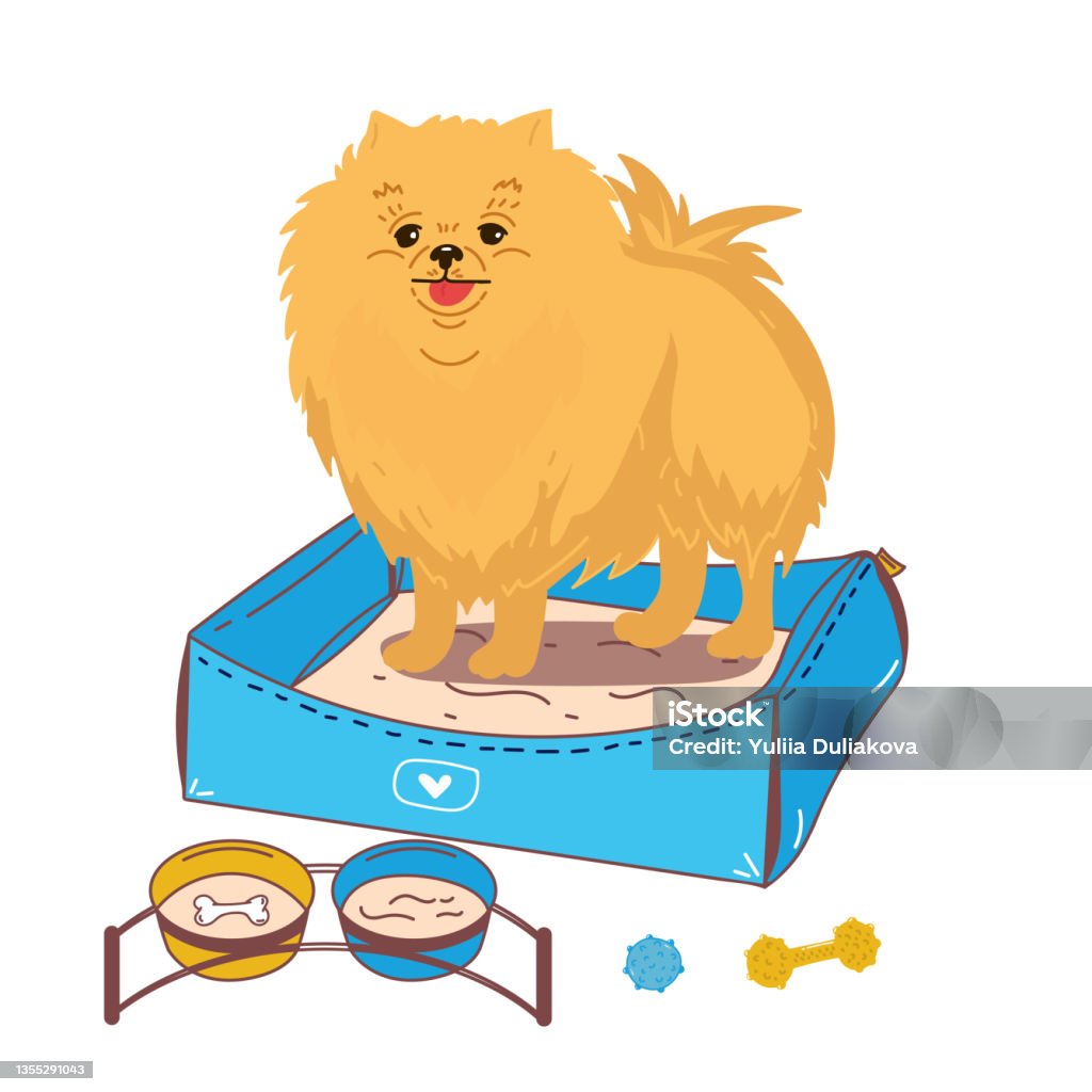 https://media.istockphoto.com/id/1355291043/vector/dog-pet-puppy-sitting-with-the-food-bowl-gift-food-dog-breed-pomeranian-spitz-the-dog-is.jpg?s=1024x1024&w=is&k=20&c=JaPBqdPLCLFln1Zs3JtXEpq_yiXEtXyuCFq8p1GLQxU=