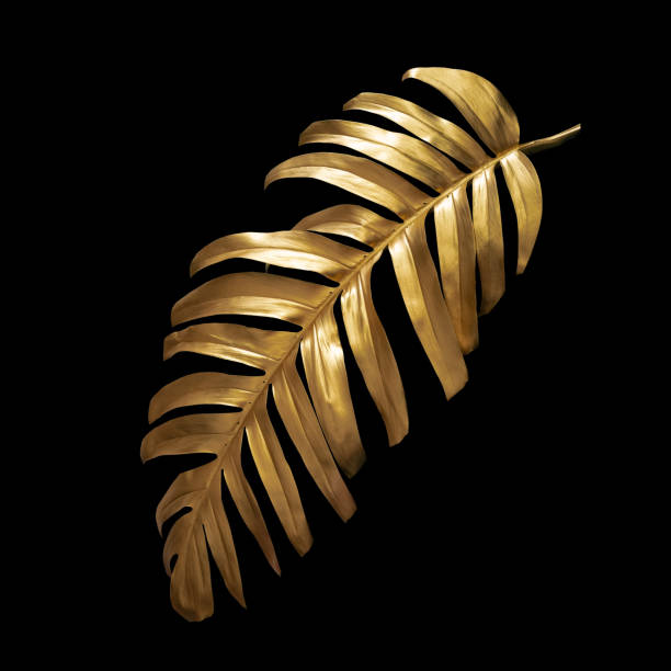 blattgoldmonstera isoliert auf schwarzem hintergrund. trendiges design. minimalismus. leerzeichen kopieren nahaufnahme. tropisches dekorkonzept für modernes design. - gold leaf stock-fotos und bilder