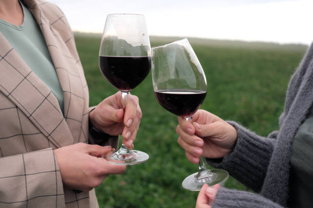 istock red wine chin-chin outdoors 1355292503