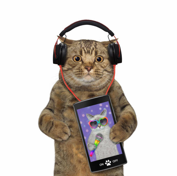 istock Cat with smartphone listens to music 1355292733