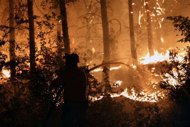 istock forest fire and people responding to the fire 1355295897