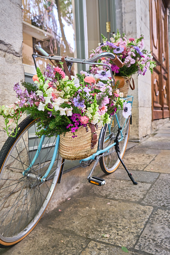 vintage bicycle decorated with wicker baskets hanging from the handlebars full of beautiful flowers, girona flower festival , temps de flors, catalonia, spain