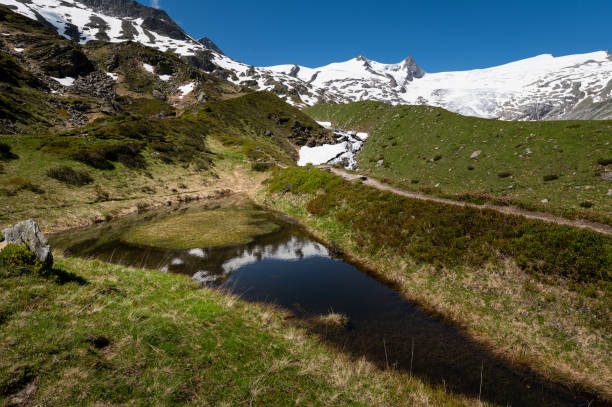 istock Small pond and glacier in the Austrian Alps 1355297144