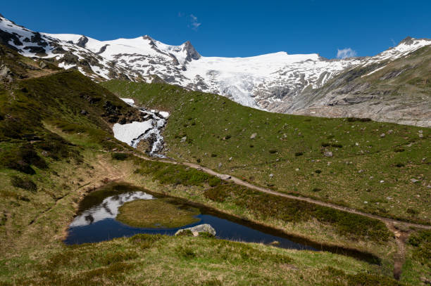 istock Small pond and glacier in the Austrian Alps 1355297194