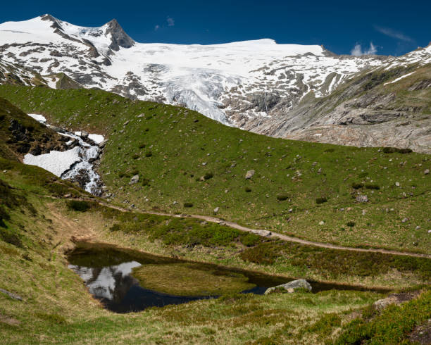 istock Small pond and glacier in the Austrian Alps 1355297196