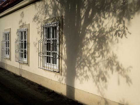 Shadow of a tree on the wall of an old house, windows, sunny day in autumn in Vienna (Austria)