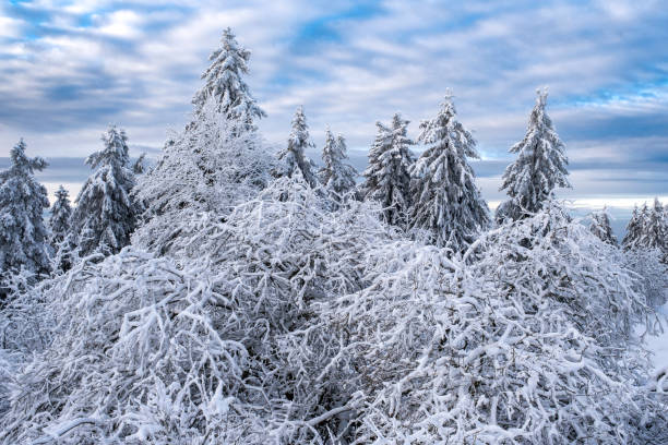 istock Winter wonder world in Taunus / Germany 1355297472