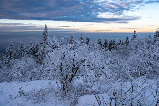 istock Winter wonder world in Taunus / Germany 1355297512