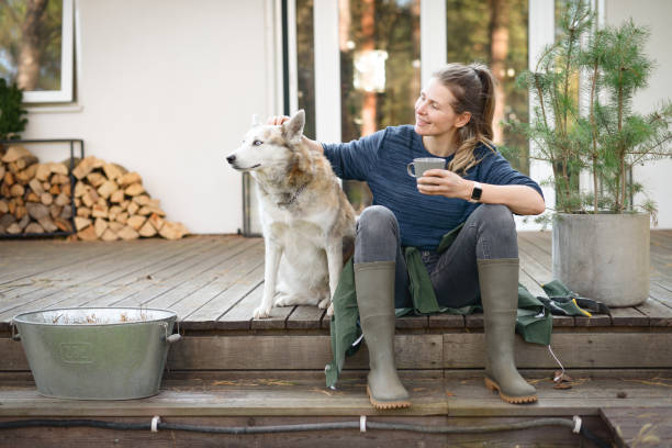 kobieta pracująca w ogrodzie (dom, pies, odpoczywająca) - cottage autumn wood woods zdjęcia i obrazy z banku zdjęć
