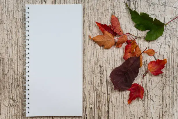 autumn colorful leaves and blank vertical notepad on light wooden table