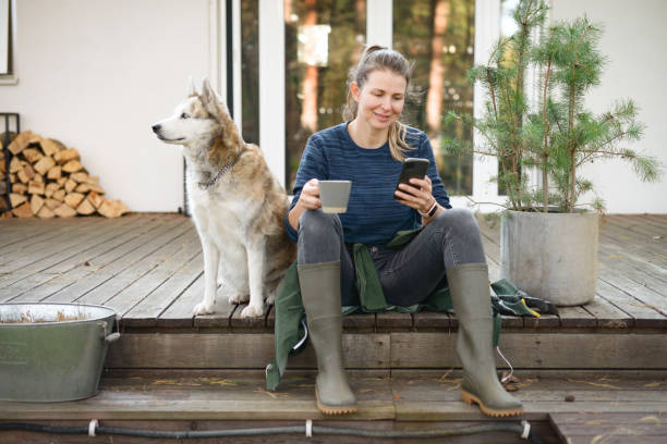 kobieta pracująca w ogrodzie (dom, pies, telefon) - cottage life zdjęcia i obrazy z banku zdjęć