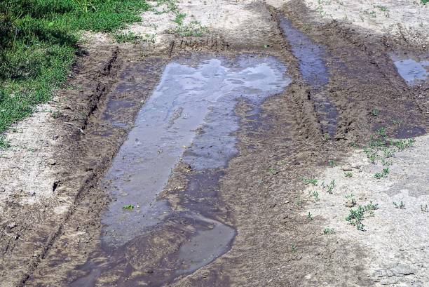 istock one large brown puddle with dirty water on the gray sand 1355303519