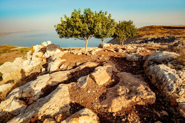 Arbel cliff with the sea of galili view