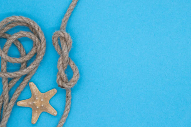 istock Starfish and rope on a blue bright background, summer nautical pattern 1355306249