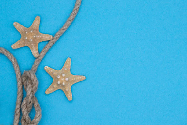 istock Top view starfish and rope, summer sea composition on a blue background 1355306579