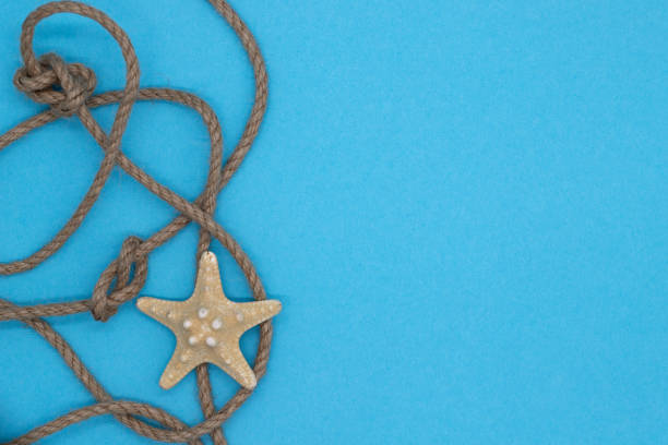istock Summer nautical composition, starfish and knot woven from a rope on blue background 1355306665