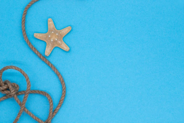 istock Blue background with starfish and rope knot 1355306731