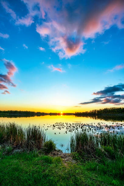istock Sun on the horizon over calm water 1355307203