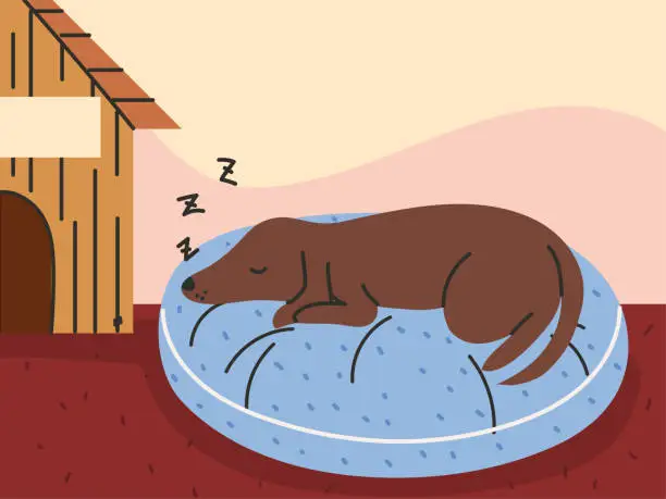 Vector illustration of sleeping dog at home