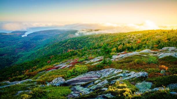 istock Evening fog in Acadia 1355311592