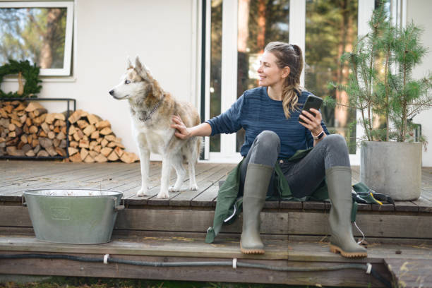 istock woman working in the garden ( house, dog, telephone) 1355312971