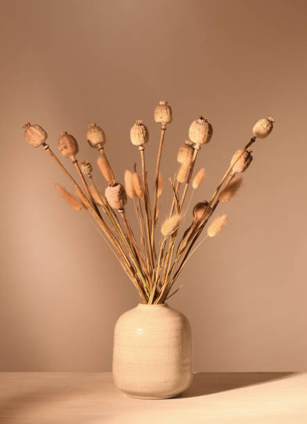 istock Vase with dried plants 1355312977