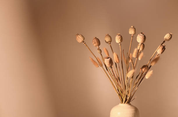 istock Vase with dried plants 1355312978