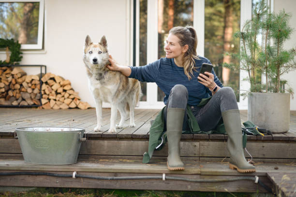 istock woman working in the garden ( house, dog, telephone) 1355313743